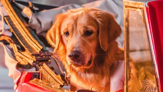 iv of spades come inside of my heart official video 