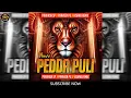 Download Lagu NUVV PEDDA PULI NEKKINAVAMMO 2024 BONALU SONG REMIX DJ PRAKASH SP - DJ VISHNU - PRAVEEN PG