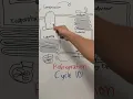 How does the refrigeration cycle work part 1