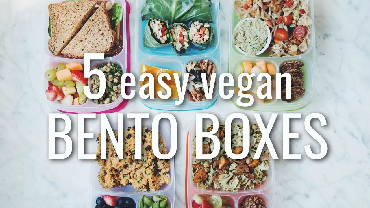 5 easy vegan back to school bento boxes (lunch ideas)   hot for food