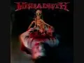 Megadeth Promises