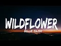 Billie Eilish - WILDFLOWER (Lyrics)