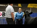 4-H Recognition