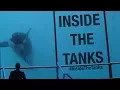 Inside The Tanks Full Documentary