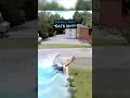 When a Delivery Works Out in Your Favor