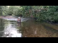 Download Lagu Anak dayak mandi di sungai bening sekali teman teman