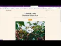 Cotton Leaf Disease Detection Web App using Deep Learning