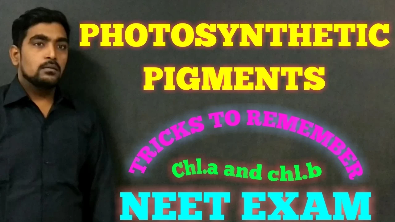 PHOTOSYNTHESIS (CHLOROPHYLL a AND CHLOROPHYLL b) - SHORTCUT