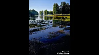 تغريد حسون لتعليم الفراخ 2022 