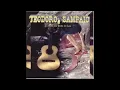 Teodoro e Sampaio - Viola em Noite de Lua