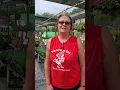 Debbi Downs Meadows Farms Burtonsville