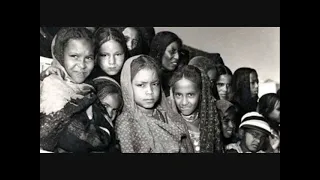 النوبة تاريخ     خضر العطار فخور أنا بحضارتي وعايش أنا بهيبتي دندنها