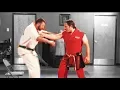 Download Lagu Bruce Lee's One Inch Punch Doesn't Work!