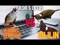 Download Lagu MASTERAN BURUNG suara burung KAPAS TEMBAK dan suara BURUNG CILILIN dengan Jeda 5detik. !!!...