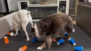 Brain Exercising on a Rainy Day!