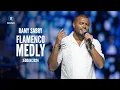 Download Lagu رامي صبري - ميدلي فلامنكو 2024