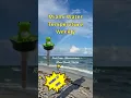 Miami Water Temperature Weekly October 27 2025