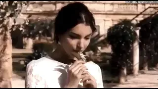 عارفة علي الحجار 