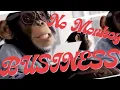 ARC Group Redefining Recruitment with Data-Driven Excellence - Don t Monkey Around
