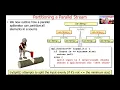 Java Parallel Streams Internals Partitioning