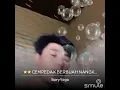 Download Lagu Karoke cempedak bebuah nangke