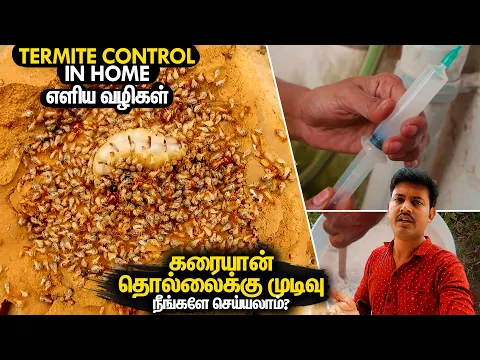 Download MP3 கரையான் தொல்லைக்கு முடிவு | Termite Control Treatment in Home | Mano's Try Tamil Vlog