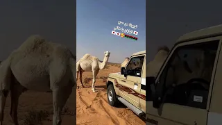 الحديد من صنع اليابان يا خالي 