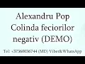 Download Lagu Alexandru Pop - Colinda feciorilor (Negativ) DEMO