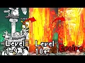 Battle Cats Mighty Thermae D-Lux Evolution