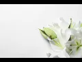Funeral Mass for Judith Janquart