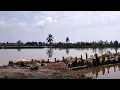 Download Lagu Pemandangan sawah yg sejuk