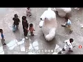 商場白熊人偶突然踢倒小男孩，家長上前理論，得知原因後網友竟直呼孩子該踢！#暖心 #暖心故事 #正能量 #淚目 #生活 #溫暖 #社會新聞 #老人 #感動 #暖心時刻