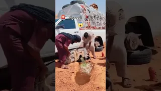                                                                                دندنها