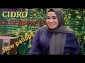 Download Lagu CIDRO LILIN HERLINA || NEW PALLAPA