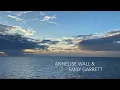 IF I COULD - Charlotte Day Wilson (Cover) - Annelise Wall & Emily Garrett