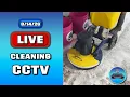 LIVE Rug Cleaning