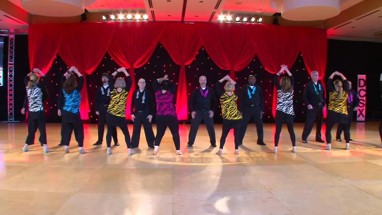 DCSX 2015 Team    DC Swing