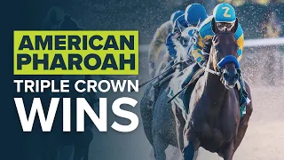 The 37-Year Wait Is Over American Pharoah Is The 12th Triple Crown Winner 2015 Kentucky Derby