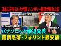 Download Lagu 【海外の反応】「税金2倍・罰金50億！」パナソニック逆鱗でハンガリー経済が崩れた日