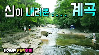 안가보면 평생 후회 할 계곡 물놀이 명소 수세식 화장실 넓은 무료 주차장 울창한 정글 천혜의 명품 너럭바위 계곡 캠핑카여행 차박노지 탐방. 문경 선유동 계곡. 썸네일