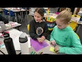 In Focus Bridges Elementary Math Curriculum