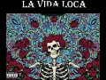 Yk Kastro - La Vida Loca