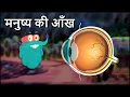 Download Lagu ह्यूमन ऑय | मनुष्य की आँख | Human Eye in Hindi | Dr.Binocs Show | Educational Videos For Kids