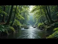 Download Lagu Sungai Hutan yang Damai | Suara Air Lembut \u0026 Kicauan Burung untuk Tidur dan Fokus