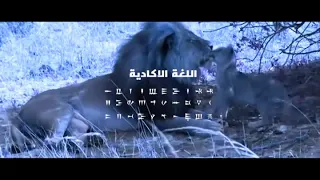 لغات العرب قديما    اللغة السريانية  اللغة الارامية  اللغة الأكادية  اللغة السبئية دندنها