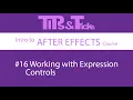 Working with Expression Controls Intro to AFTER EFFECTS course