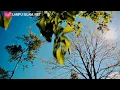 Download Lagu Hanan Attaki, Lc Bikin Nangis ! Allah Itu Baik Banget Sama Kita