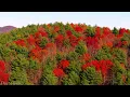 Great Smoky Mountains 4K 🍁 Breathtaking Autumn Foliage, Colorful Forests & Scenic Mountain Views