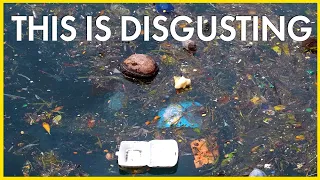 This is absolutely disgusting.  – #shorts #sulawesi #recycle