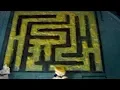 Can Slime Mould Solve Mazes Earth Science